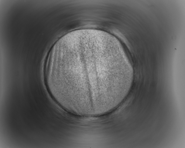 X0000088421475200706191207
