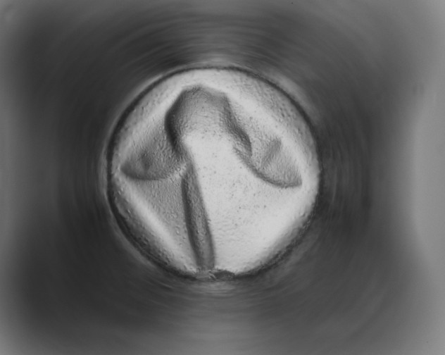 X0000088421476200706191207