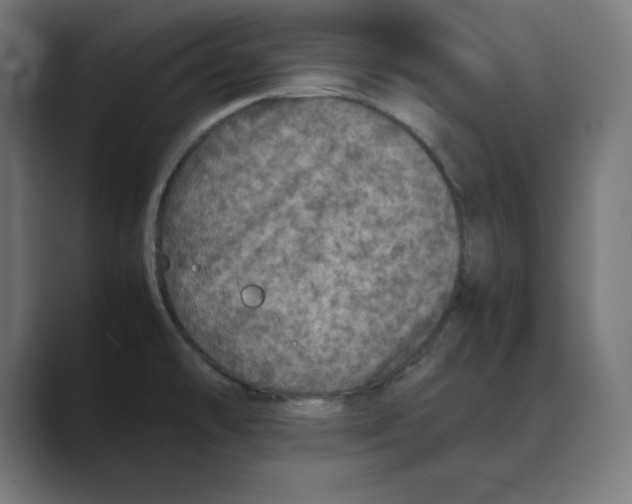 X0000088421478200706191207