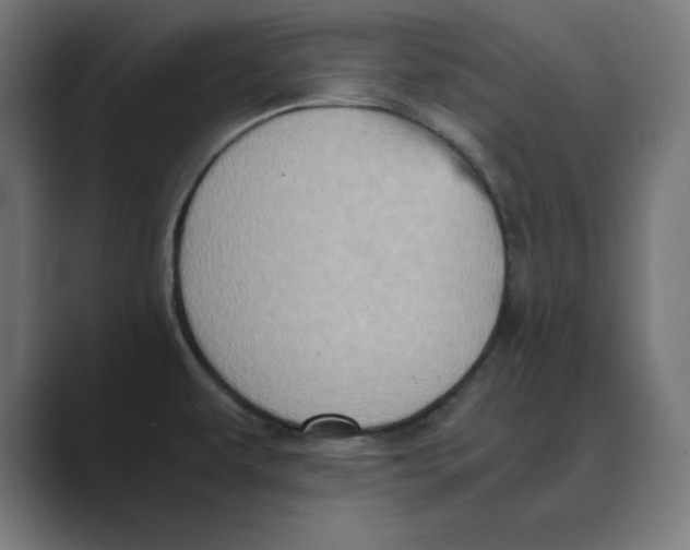 X0000088421479200706191207