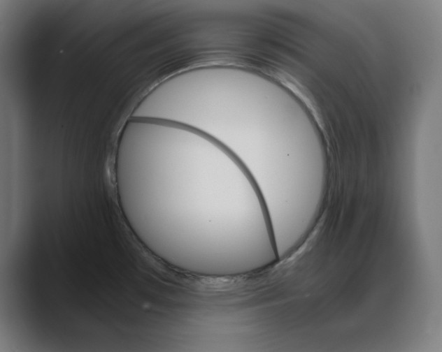 X0000088421481200706191207