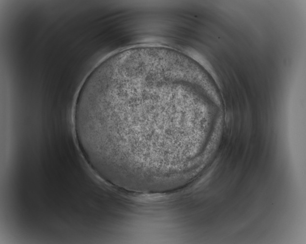X0000088421482200706191207