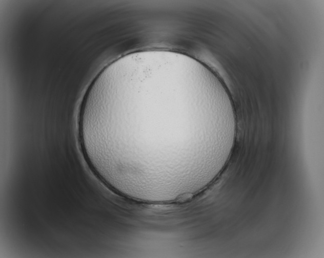 X0000088421483200706191207