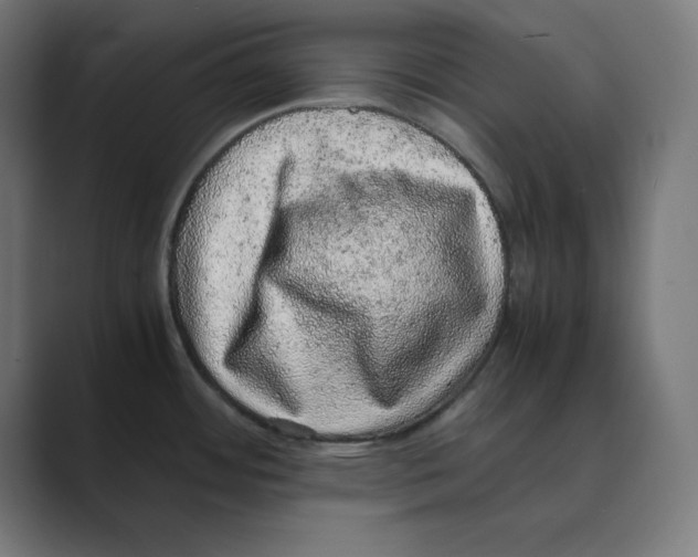 X0000088421484200706191207