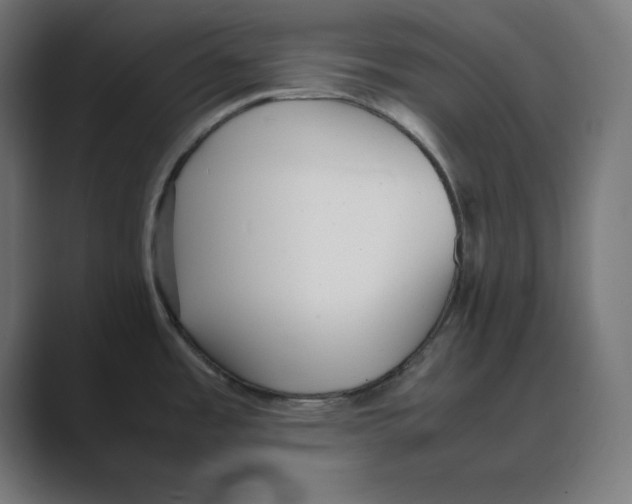 X0000088421485200706191207