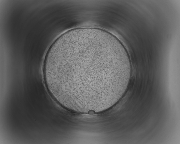 X0000088421486200706191207