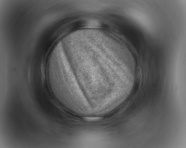 X0000088421487200706191207