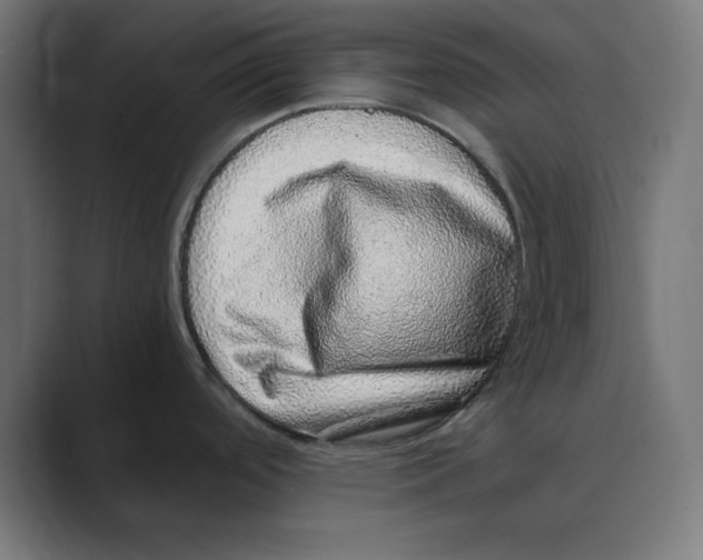 X0000088421488200706191207