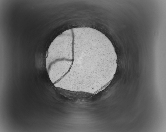 X0000088421490200706191206
