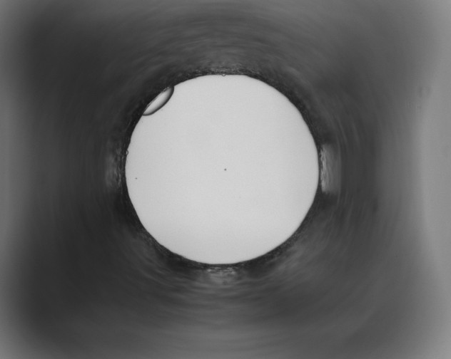 X0000088421491200706191206