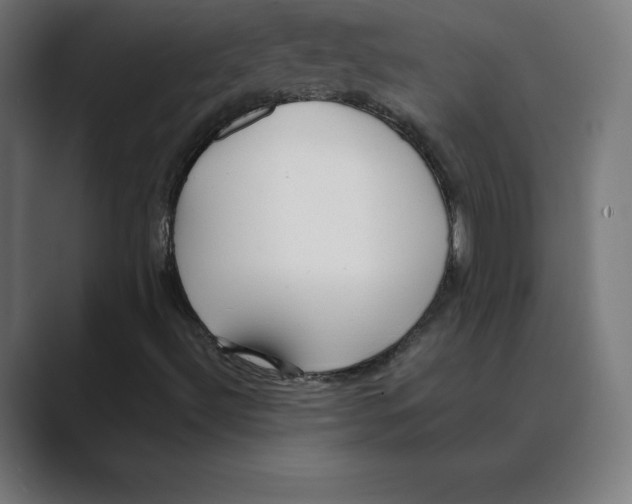 X0000088421492200706191206
