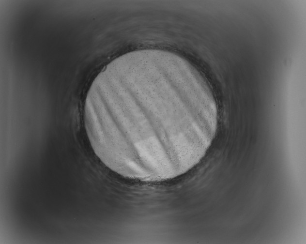 X0000088421493200706191206