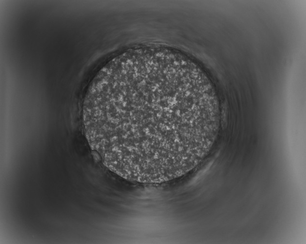 X0000088421494200706191206