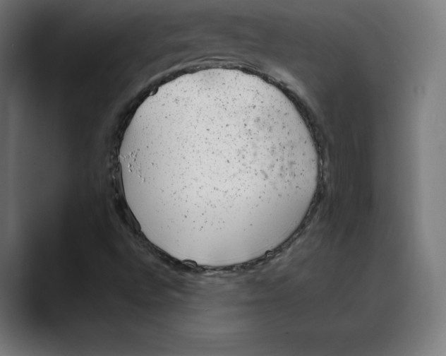 X0000088421496200706191206