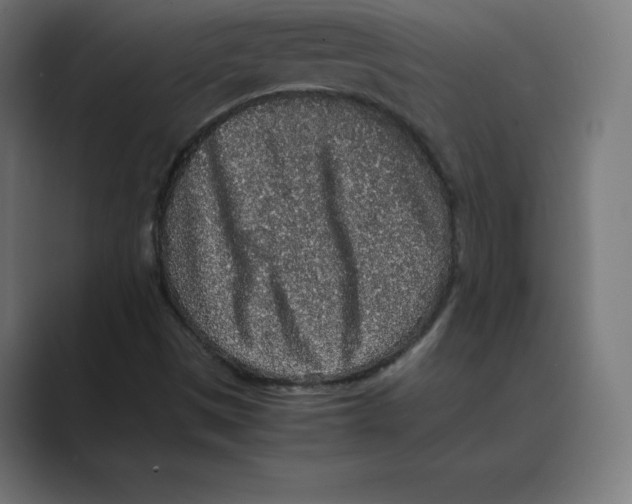 X0000088421497200706191206