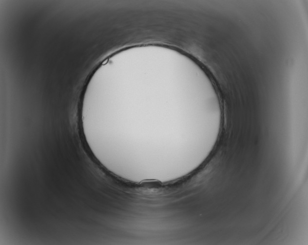 X0000088421500200706191206