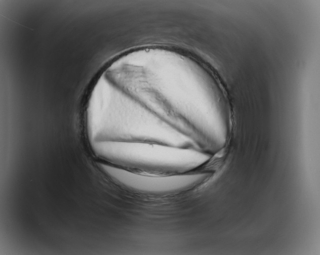 X0000088421501200706191206