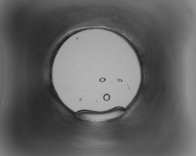 X0000088421502200706191206