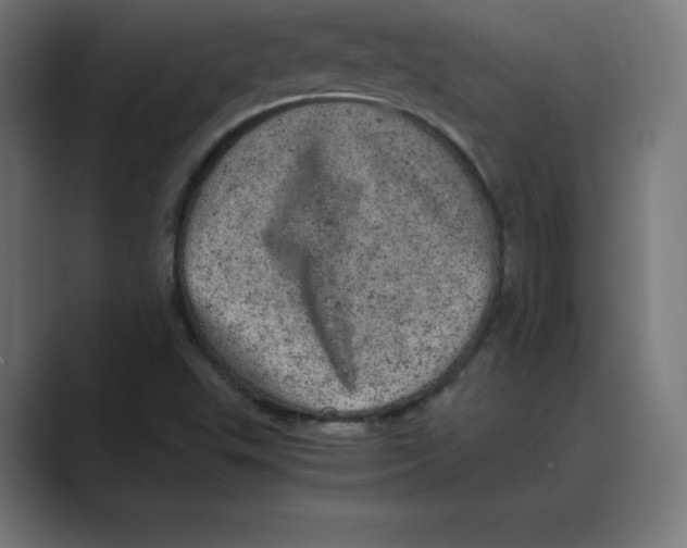 X0000088421503200706191206