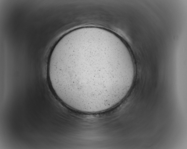 X0000088421504200706191206