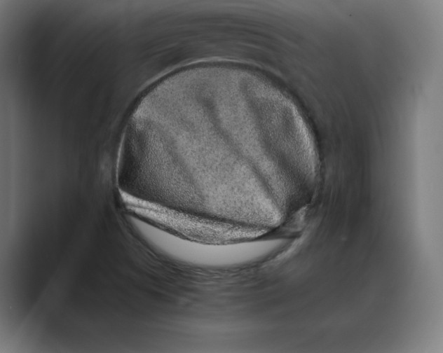 X0000088421505200706191206