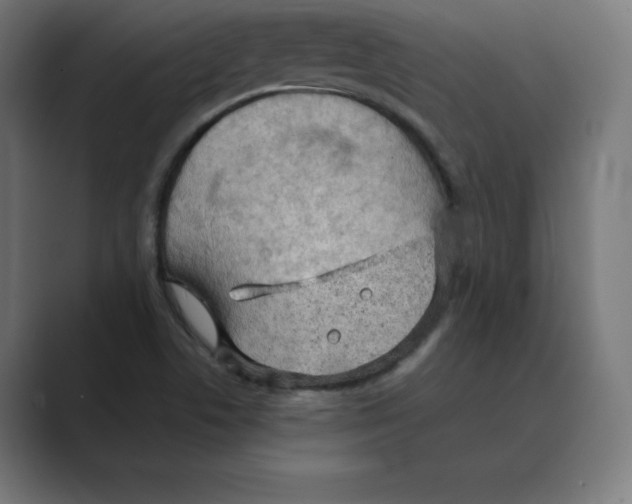 X0000088421506200706191206