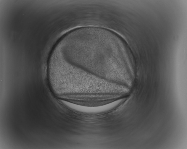 X0000088421507200706191206