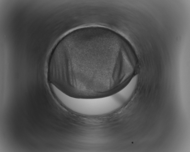 X0000088421508200706191206