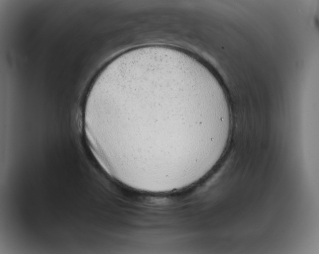 X0000088421509200706191206