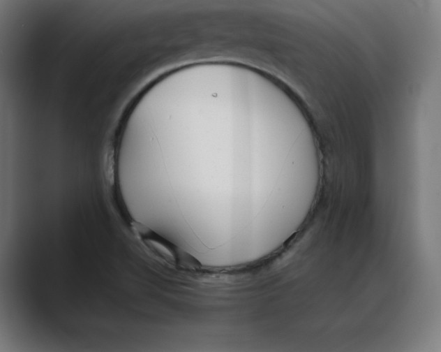 X0000088421510200706191206