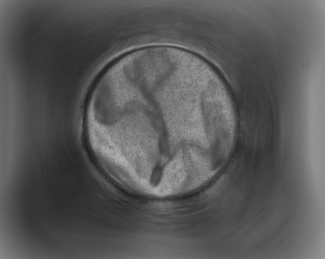 X0000088421511200706191206