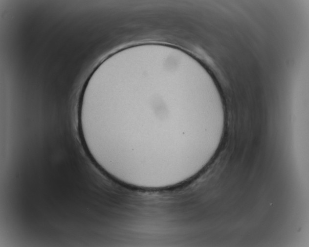 X0000088421512200706191206