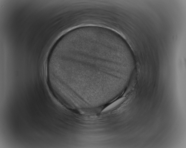 X0000088421515200706191207