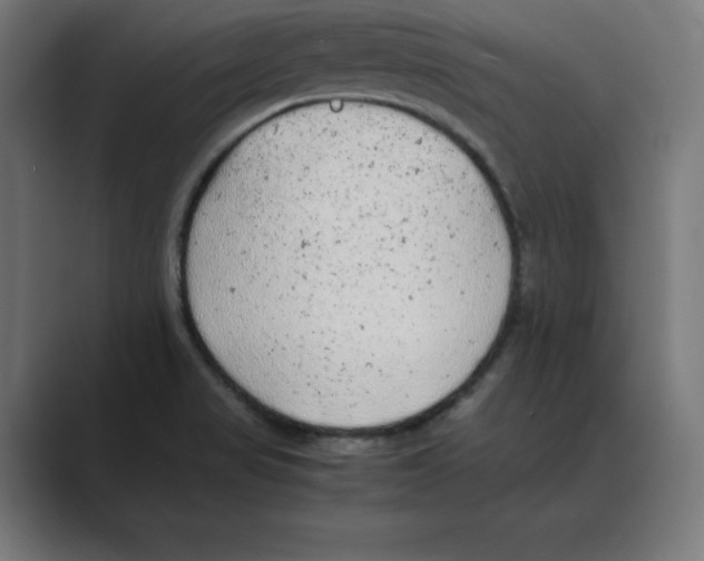 X0000088421517200706191207