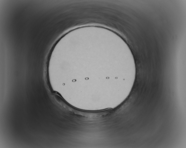 X0000088421518200706191207