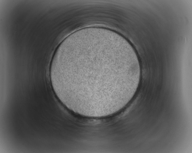 X0000088421521200706191207