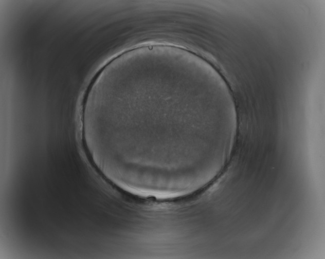 X0000088421522200706191207