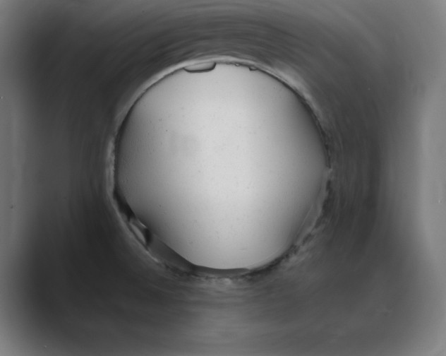 X0000088421524200706191207