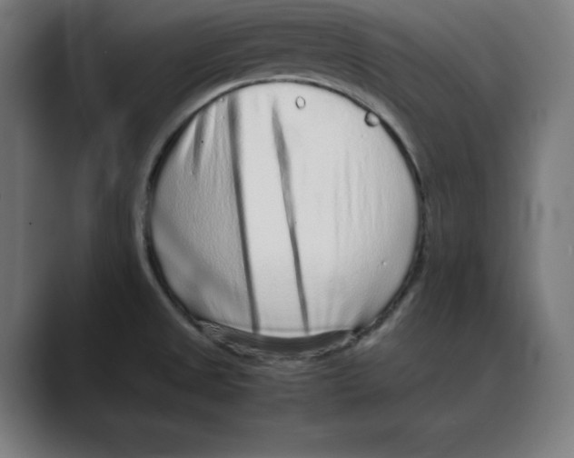X0000088421525200706191207