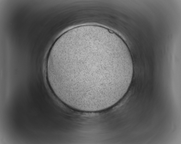 X0000088421526200706191207