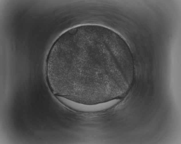X0000088421527200706191207