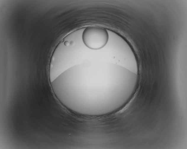 X0000088421529200706191207
