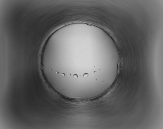 X0000088421530200706191207