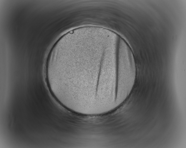 X0000088421531200706191207