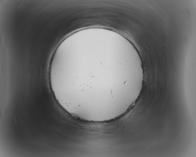 X0000088421532200706191207