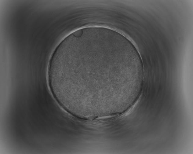 X0000088421533200706191207