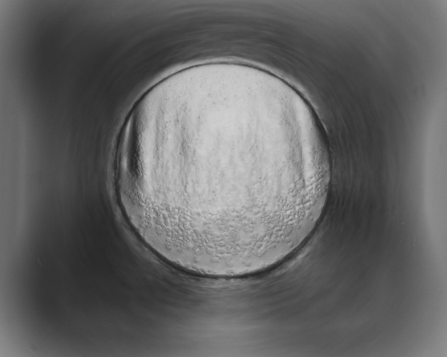 X0000088421534200706191207