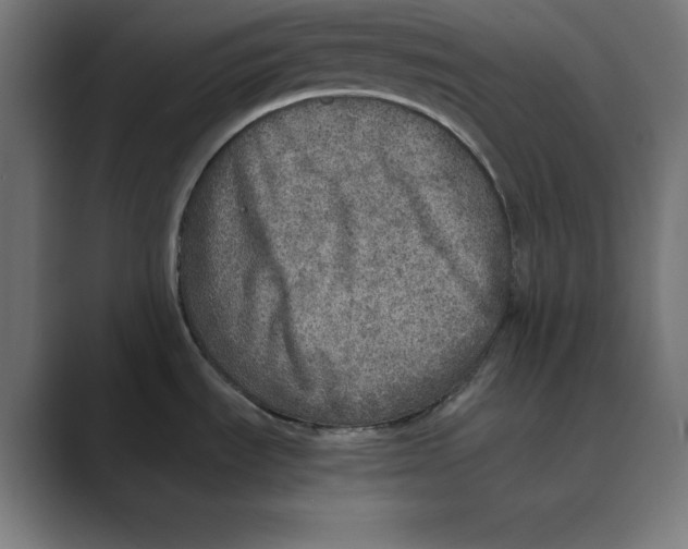 X0000088421535200706191207