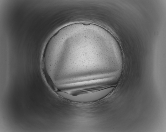 X0000088421536200706191207