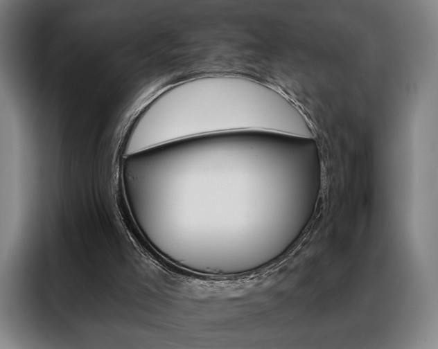 X0000088430005200705220903